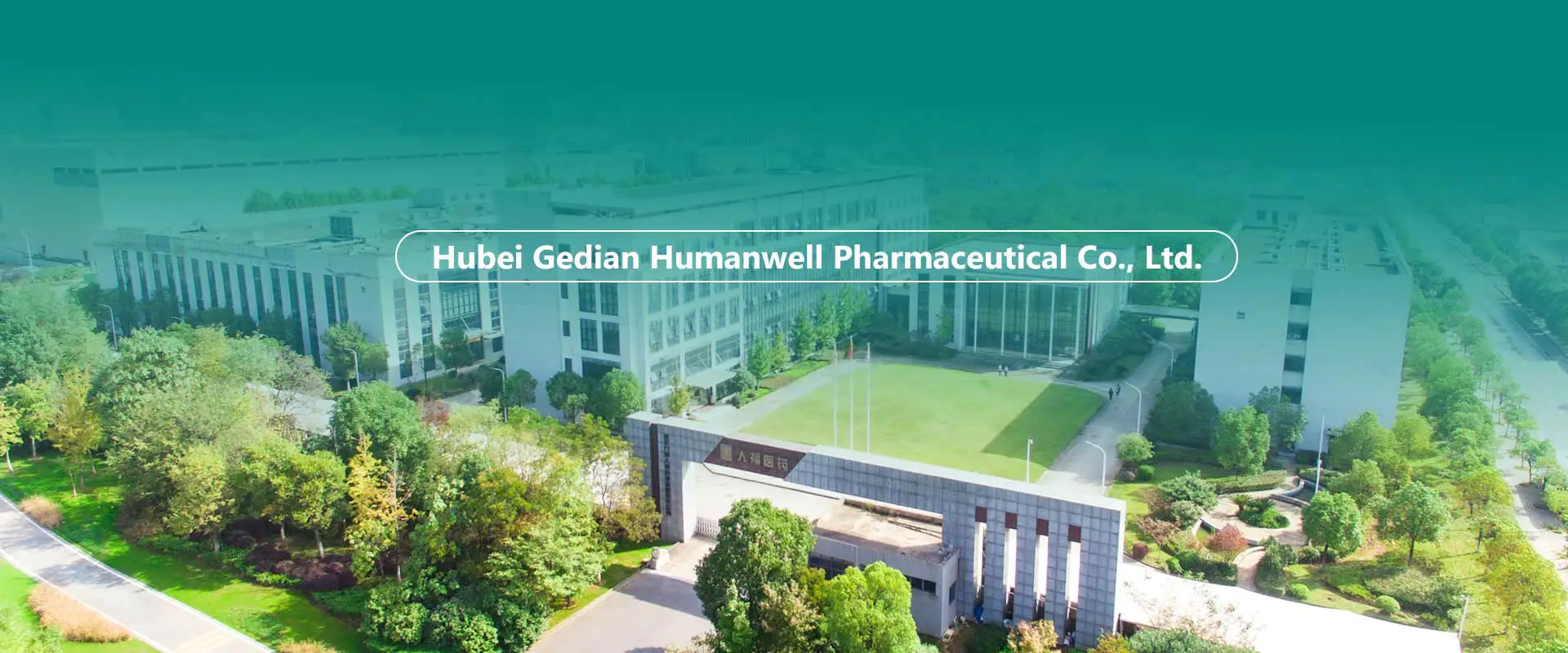 చైనా APIలు, ఇంటర్మీడియట్‌లు, ఫార్ములేషన్స్ ఫ్యాక్టరీ